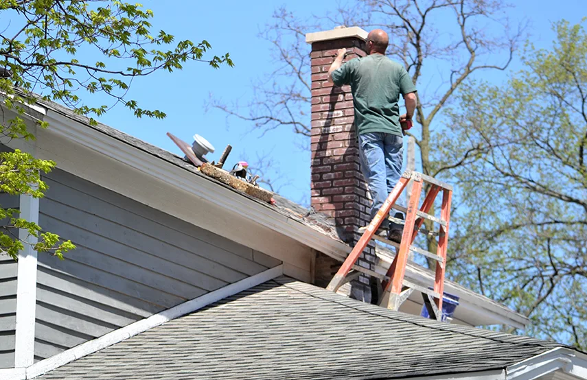 Chimney & Fireplace Inspections Services in Galveston, TX